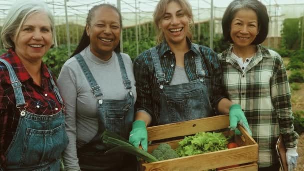 Happy Multirasial Perempuan Petani Yang Bekerja Dalam Rumah Kaca Orang — Stok Video