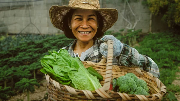 Feliz Mujer Del Sudeste Asiático Trabajando Dentro Tierra Agrícola Concepto —  Fotos de Stock