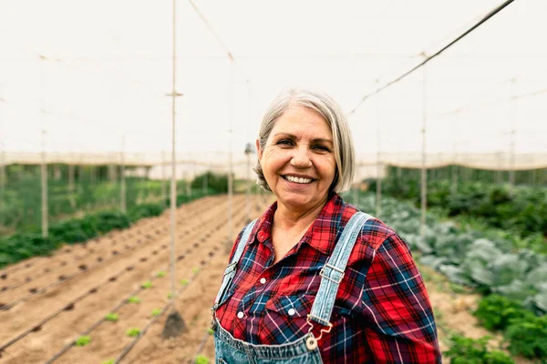 Agricultor Sênior Feliz Sorrindo Para Câmera Enquanto Trabalhava Dentro Estufa — Fotografia de Stock