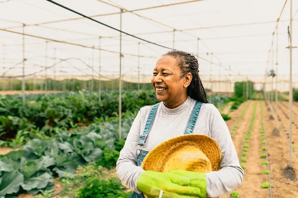 Happy African Petani Bekerja Dalam Pertanian Rumah Kaca Orang Pertanian — Stok Foto
