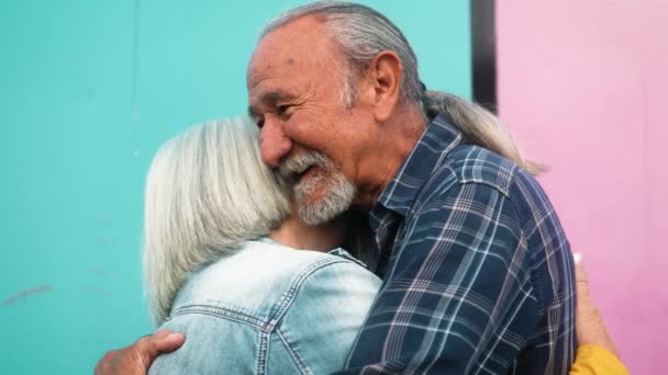 快乐的老年夫妇拥抱户外 老年人与爱情关系的概念 — 图库视频影像