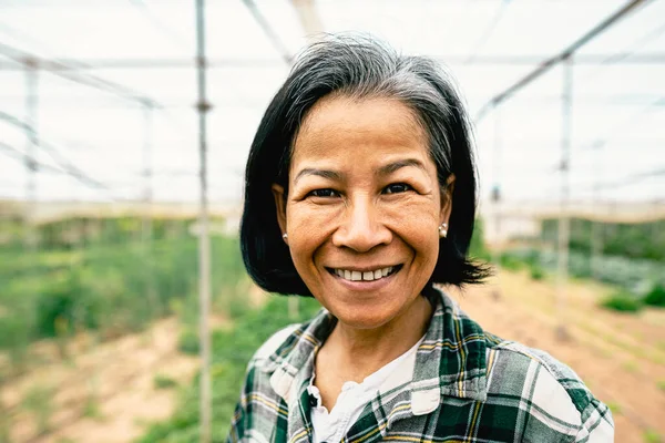 Boldog Délkelet Ázsiai Mosolyog Kamera Miközben Dolgozik Belül Mezőgazdasági Üvegház — Stock Fotó