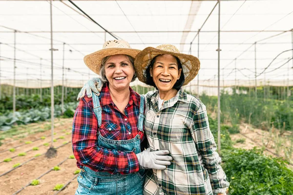 農業の温室の中で働いている間 カメラで笑顔の幸せな多人種女性農家 農家の人々のライフスタイルコンセプト — ストック写真