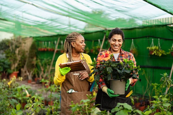 Happy Multirasial Perempuan Bekerja Bersama Sama Tanaman Dan Bunga Toko — Stok Foto