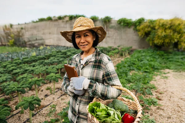 Happy Southeast Asian Woman Working Agriculture Farm People Gaya Hidup Stok Gambar