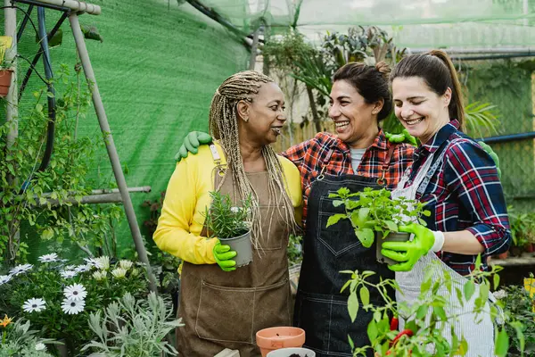 Happy Multiracial Women Working Together Plants Flowers Garden Shop — Stock Photo, Image