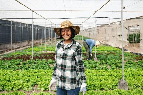 Happy Southeast Asian Woman Working Agriculture Greenhouse Farm People Gaya — Stok Foto
