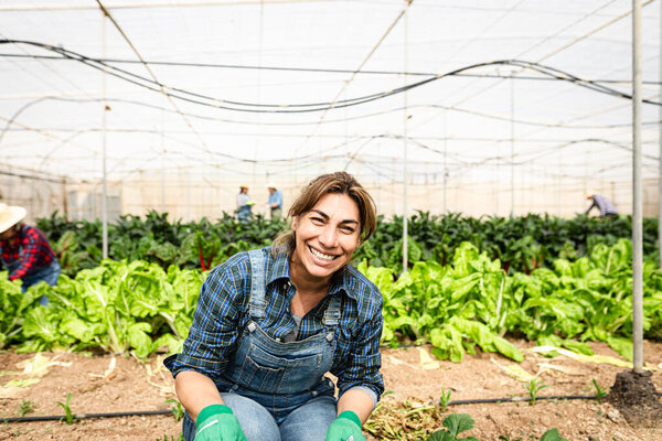 Happy Latin Farmer Working Agricultural Greenhouse Farm People Lifestyle Concept Stock Photo