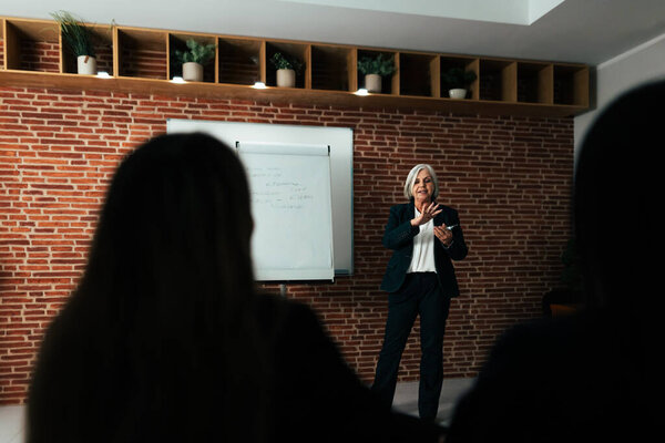Business Woman Doing Presentation Conference Room Royalty Free Stock Images