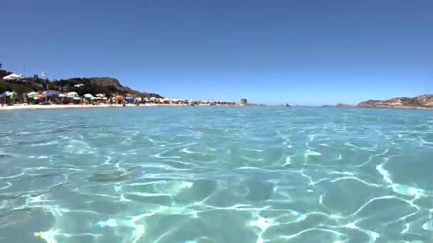 位于意大利北部撒丁岛斯廷蒂诺市的拉佩洛萨海滩是地中海沿岸最美丽的地方之一 这里的水景尽收眼底 — 图库视频影像