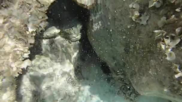 Дайвинг Острове Спарджи Архипелаг Маддалена Недалеко Пролива Бонифачо Севере Сардинии — стоковое видео