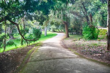 Huzurlu bir patika, yemyeşil bir parkın içinde dolaşır, doğada barışçıl yürüyüşlere davet eder.