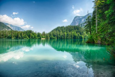 Güneşli bir yaz gününde arka planda Brenta Dolomitleri olan güzel Tovel gölünün panoramik manzarası, Trentino Alto Adige, İtalya