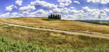 San Quirico D 'Orcia, İtalya - 23 Haziran 2019' da San Quirico d 'Orcia, Tuscany, İtalya' da görülen simgesel selvi bir grubun panoramik görüntüsü