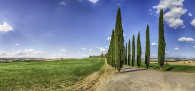 San Quirico D 'Orcia, İtalya - 23 Haziran 2019' da San Quirico d 'Orcia, Tuscany, İtalya' da görülen selvi grubu