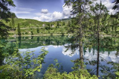 Carezza Gölü 'nün yeşil suları, güneşli bir yaz gününde çevreleyen kozalaklı ormanı yansıtır. Trentino Alto Adige, İtalya