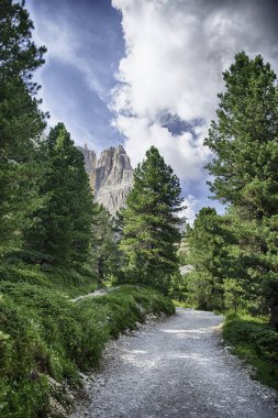 İtalyan Dolomitleri 'ndeki Vajolet Kuleleri ve Rosengarten Grubu' nun yüksek tepelerine uzanan kozalaklı ağaçlardan oluşan bir ormanın içinden geçen çakıl yolu.