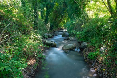 İtalya 'nın Cosenza ilinin Fiumefreddo Bruzio şehrinde yer alan ormanlık alanda manzaralı bir nehre uzun süre maruz kaldık.
