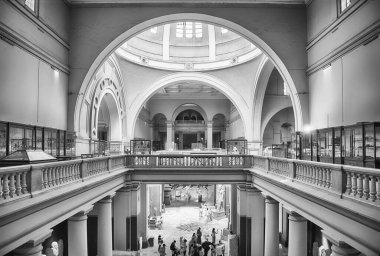 CAIRO, EGYPT - 30 Haziran 2025: Mısır 'ın Kahire kentindeki Tahrir Meydanı' ndaki ünlü Mısır Müzesi 'nin iç manzarası. Müze 1902 'de kuruldu.