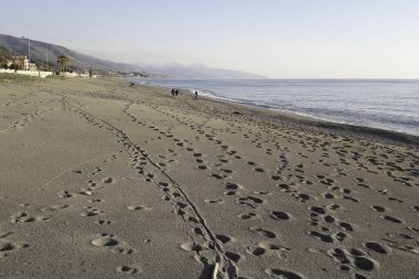 Calabria, İtalya 'da Thyrrenian sahilinde manzaralı kumlu bir sahil manzarası