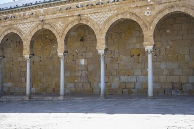 Tunus 'un Medine' sinin göbeğinde yer alan Zitouna Camii 734 yılında kuruldu ve bir zamanlar kilisenin bulunduğu bir alana inşa edildi. Tamamen 9. yüzyılda yeniden inşa edildi ve restore edildi. Tunus, Tunisa