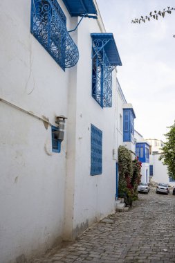 Beyaz-mavi şehir Sidi Bou Said, Tunus. Fransız tılsımlı doğu masalı. Eski tarihi bir binanın manzarası, Sidi Bou Kartaca, Tunus.