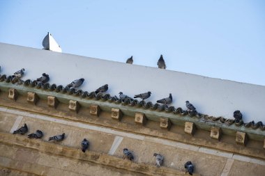 Tunus 'un Medine' sinin göbeğinde yer alan Zitouna Camii 734 yılında kuruldu ve bir zamanlar kilisenin bulunduğu bir alana inşa edildi. Tamamen 9. yüzyılda yeniden inşa edildi ve restore edildi. Tunus, Tunus.