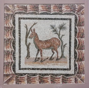 Bardo Ulusal Müzesi Roma mozaiğinin kalıntılarını sergiliyor. Tunus 'taki Bardo Müzesi' nin içinde. Bardo müzesi. Dünyaca ünlü Roma mozaik koleksiyonu ve bir sürü Roma hazinesi barındırıyor. Tunus, Tunus