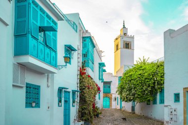 Beyaz-mavi şehir Sidi Bou Said, Tunus. Fransız tılsımlı doğu masalı. Eski tarihi bir binanın manzarası, Sidi Bou Kartaca, Tunus.