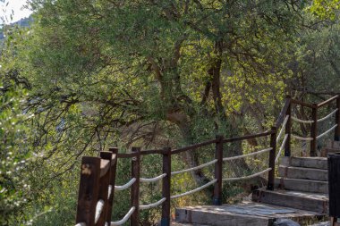 Akdeniz bölgesinde saklanan eski Karain mağarasının içi. Paleolitik çağın başlangıcından bu yana 150.000 ila 200.000 yıl önce insan yerleşimlerini doğruluyor. Yagca, Antalya, Türkiye. Karain Magarasi.