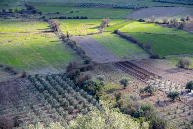 Bölümlere ayrılmış ekin tarlaları, zeytin ağaçları, bahçe manzarası, Dosemealti 'de kırsal yol ve kaya, Yenikoy Antalya