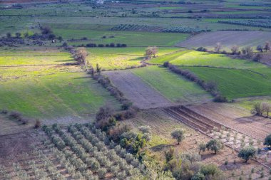 Bölümlere ayrılmış ekin tarlaları, zeytin ağaçları, bahçe manzarası, Dosemealti 'de kırsal yol ve kaya, Yenikoy Antalya