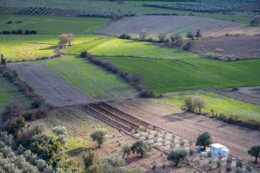 Bölümlere ayrılmış ekin tarlaları, zeytin ağaçları, bahçe manzarası, Dosemealti 'de kırsal yol ve kaya, Yenikoy Antalya