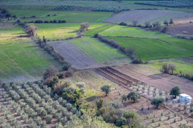 Bölümlere ayrılmış ekin tarlaları, zeytin ağaçları, bahçe manzarası, Dosemealti 'de kırsal yol ve kaya, Yenikoy Antalya