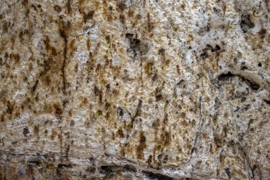 Akdeniz bölgesinde saklanan eski Karain mağarasının içi. Paleolitik çağın başlangıcından bu yana 150.000 ila 200.000 yıl önce insan yerleşimlerini doğruluyor. Yagca, Antalya, Türkiye.