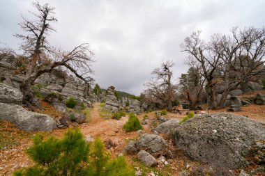 Sonbahar günü güzel kaya oluşumları olan görkemli bir vadi manzarası. Adamkayalar, Selge, Manavgat, Antalya, Türkiye.