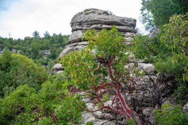 Majestic view of valley with beautiful rock formations on a autumn day. Adamkayalar, Selge, Manavgat, Antalya, Turkey. clipart