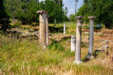 Afrodizyalıların Afrodit 'i (Afrodisias), yerel bir Anadolu, antik doğurganlık tanrıçasıyla aşk ve güzellik tanrıçası Helenik Afrodit' in özelliklerini birleştirmiştir. Geyre, Karacasu Aydın 