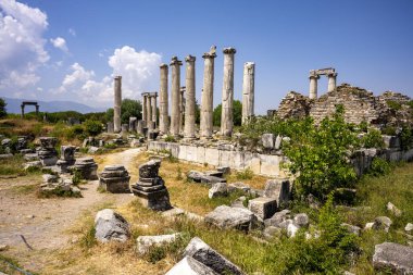 Afrodizyalıların Afrodit 'i (Afrodisias), yerel bir Anadolu, antik doğurganlık tanrıçasıyla aşk ve güzellik tanrıçası Helenik Afrodit' in özelliklerini birleştirmiştir. Geyre, Karacasu Aydın 