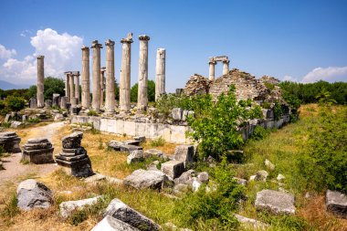 Afrodizyalıların Afrodit 'i (Afrodisias), yerel bir Anadolu, antik doğurganlık tanrıçasıyla aşk ve güzellik tanrıçası Helenik Afrodit' in özelliklerini birleştirmiştir. Geyre, Karacasu Aydın 
