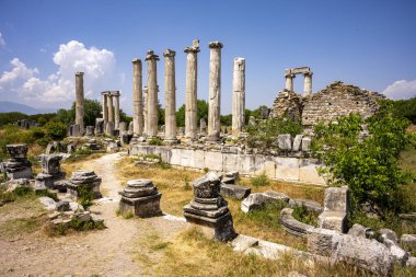 Afrodizyalıların Afrodit 'i (Afrodisias), yerel bir Anadolu, antik doğurganlık tanrıçasıyla aşk ve güzellik tanrıçası Helenik Afrodit' in özelliklerini birleştirmiştir. Geyre, Karacasu Aydın 