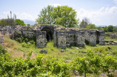 Afrodizyalıların Afrodit 'i (Afrodisias), yerel bir Anadolu, antik doğurganlık tanrıçasıyla aşk ve güzellik tanrıçası Helenik Afrodit' in özelliklerini birleştirmiştir. Geyre, Karacasu Aydın 