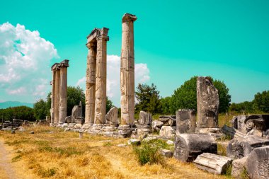 Afrodizyalıların Afrodit 'i (Afrodisias), yerel bir Anadolu, antik doğurganlık tanrıçasıyla aşk ve güzellik tanrıçası Helenik Afrodit' in özelliklerini birleştirmiştir. Geyre, Karacasu Aydın 