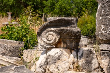 Afrodizyalıların Afrodit 'i (Afrodisias), yerel bir Anadolu, antik doğurganlık tanrıçasıyla aşk ve güzellik tanrıçası Helenik Afrodit' in özelliklerini birleştirmiştir. Geyre, Karacasu Aydın 
