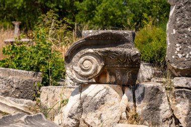 The Aphrodite of Aphrodisias (Afrodisias) combined aspects of a local Anatolian, archaic fertility goddess with those of the Hellenic Aphrodite, goddess of love and beauty. Geyre, Karacasu Aydin  clipart