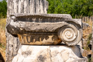 Afrodizyalıların Afrodit 'i (Afrodisias), yerel bir Anadolu, antik doğurganlık tanrıçasıyla aşk ve güzellik tanrıçası Helenik Afrodit' in özelliklerini birleştirmiştir. Geyre, Karacasu Aydın 