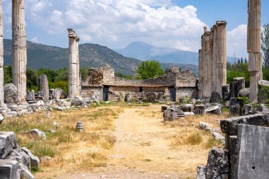 Afrodizyalıların Afrodit 'i (Afrodisias), yerel bir Anadolu, antik doğurganlık tanrıçasıyla aşk ve güzellik tanrıçası Helenik Afrodit' in özelliklerini birleştirmiştir. Geyre, Karacasu Aydın 