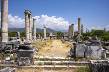 Afrodizyalıların Afrodit 'i (Afrodisias), yerel bir Anadolu, antik doğurganlık tanrıçasıyla aşk ve güzellik tanrıçası Helenik Afrodit' in özelliklerini birleştirmiştir. Geyre, Karacasu Aydın 