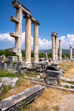 Afrodizyalıların Afrodit 'i (Afrodisias), yerel bir Anadolu, antik doğurganlık tanrıçasıyla aşk ve güzellik tanrıçası Helenik Afrodit' in özelliklerini birleştirmiştir. Geyre, Karacasu Aydın 