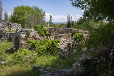 Afrodizyalıların Afrodit 'i (Afrodisias), yerel bir Anadolu, antik doğurganlık tanrıçasıyla aşk ve güzellik tanrıçası Helenik Afrodit' in özelliklerini birleştirmiştir. Geyre, Karacasu Aydın 